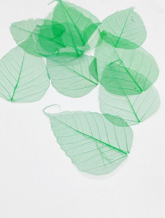 Leaves – 10 pieces- Design – 1