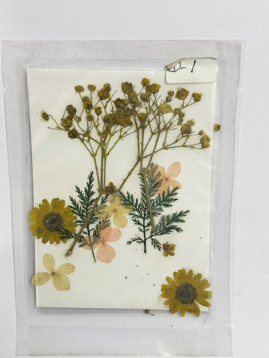 Pressed Dried Flowers- 1 pack Design -1