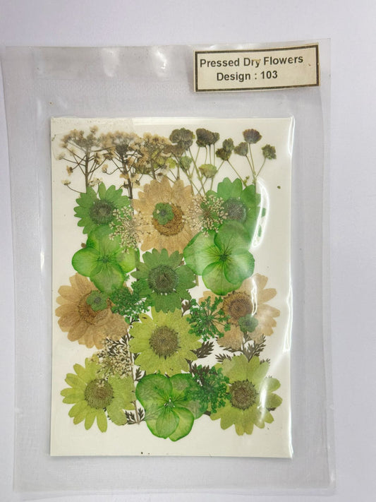 Pressed Dried Flowers- 1 pack Design -103