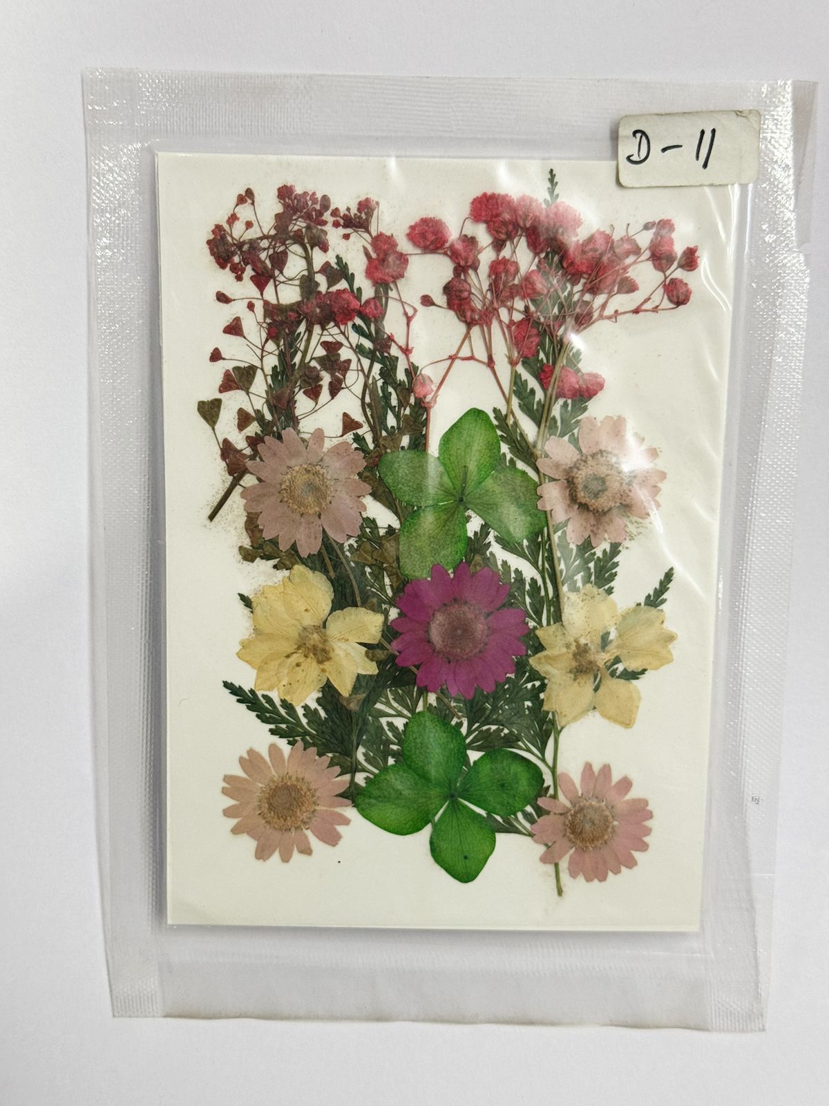 Pressed Dried Flowers- 1 pack Design -11