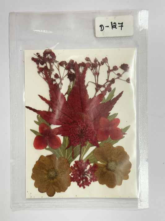 Pressed Dried Flowers- 1 pack Design -127