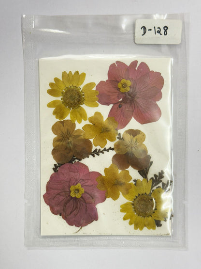 Pressed Dried Flowers- 1 pack Design -128