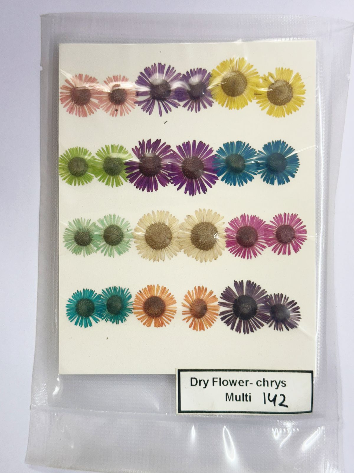 Pressed Dried Flowers- 1 pack – Chyrs – Multicolor design -142