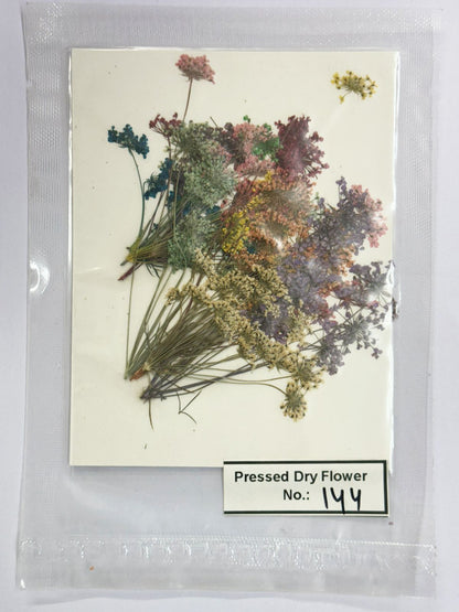 Pressed Dry Flowers- 1 pack – Multicolor DESIGN-144