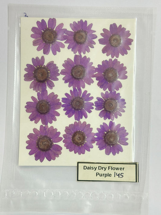 Pressed Daisy Dry Flowers- 1 pack – purple design -145