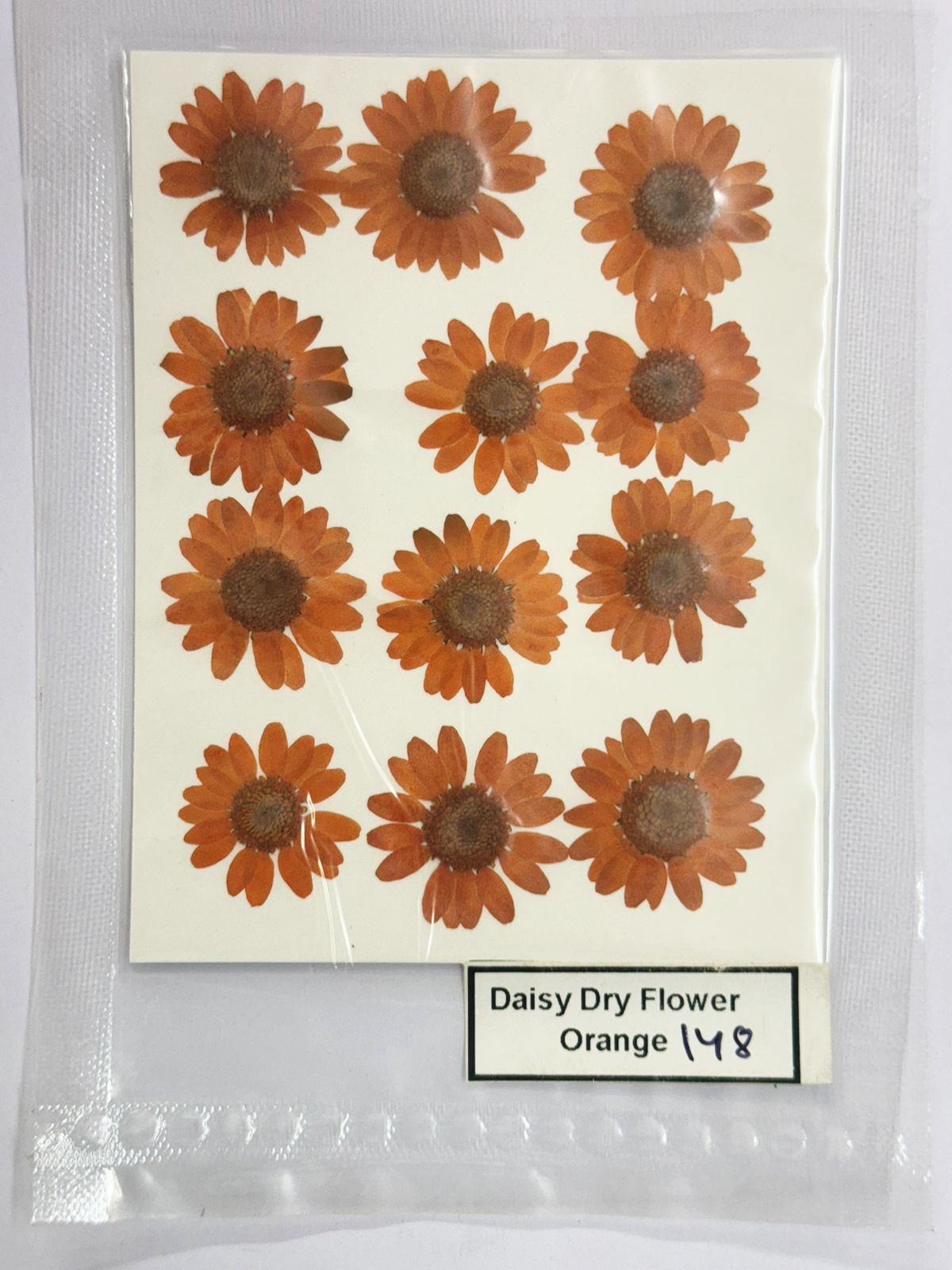 Pressed Daisy Dry Flowers- 1 pack – orange design – 148