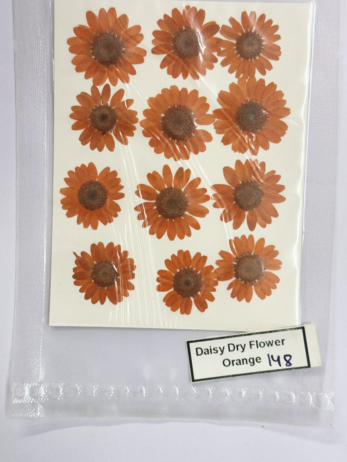 Pressed Daisy Dry Flowers- 1 pack – orange design – 148