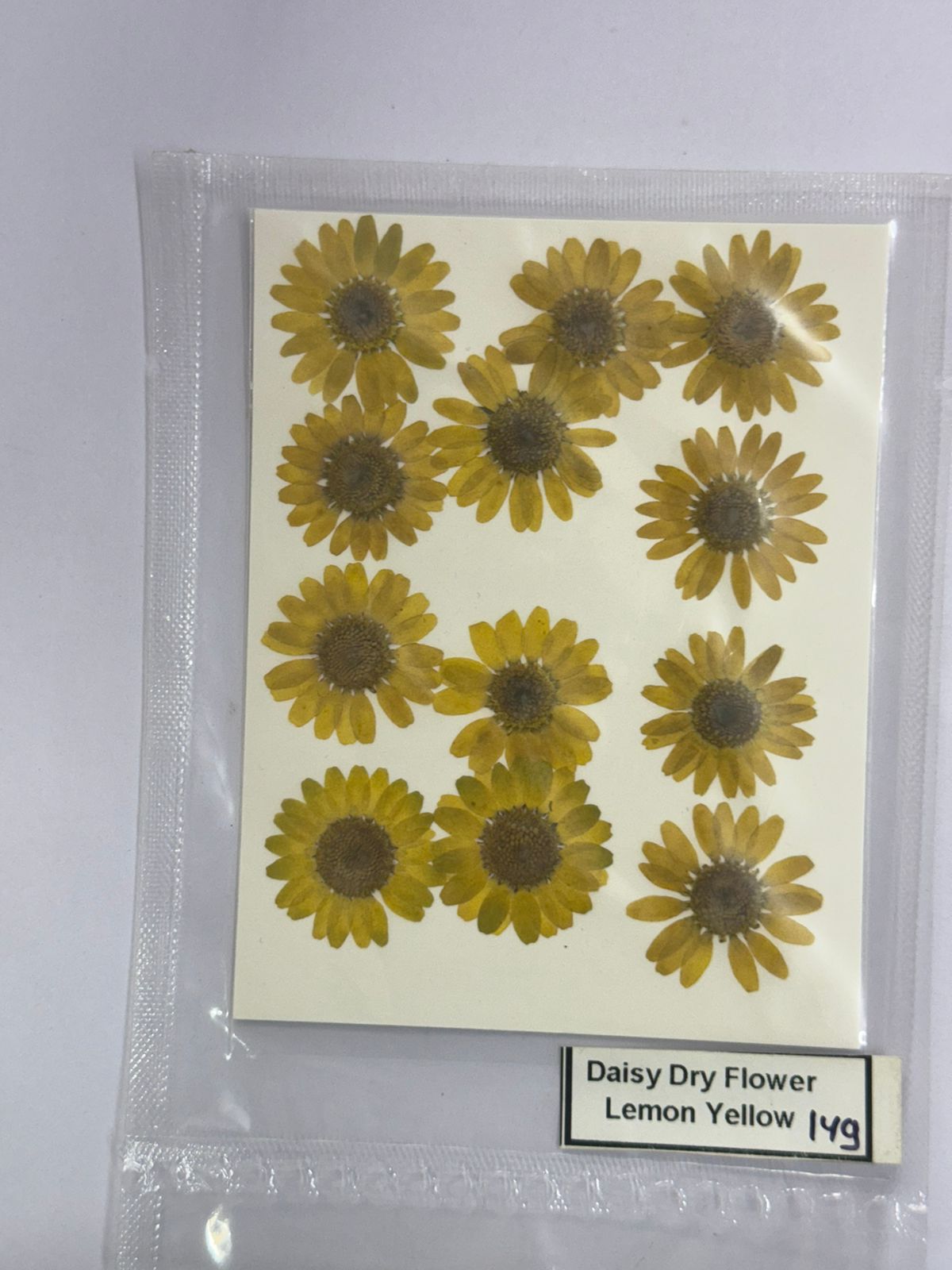 Pressed Daisy Dry Flowers- 1 pack – Lemon Yellow design – 149