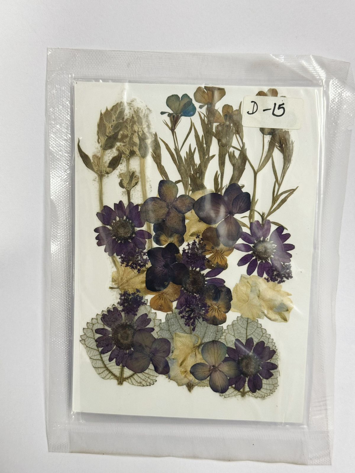 Pressed Dried Flowers- 1 pack Design -15