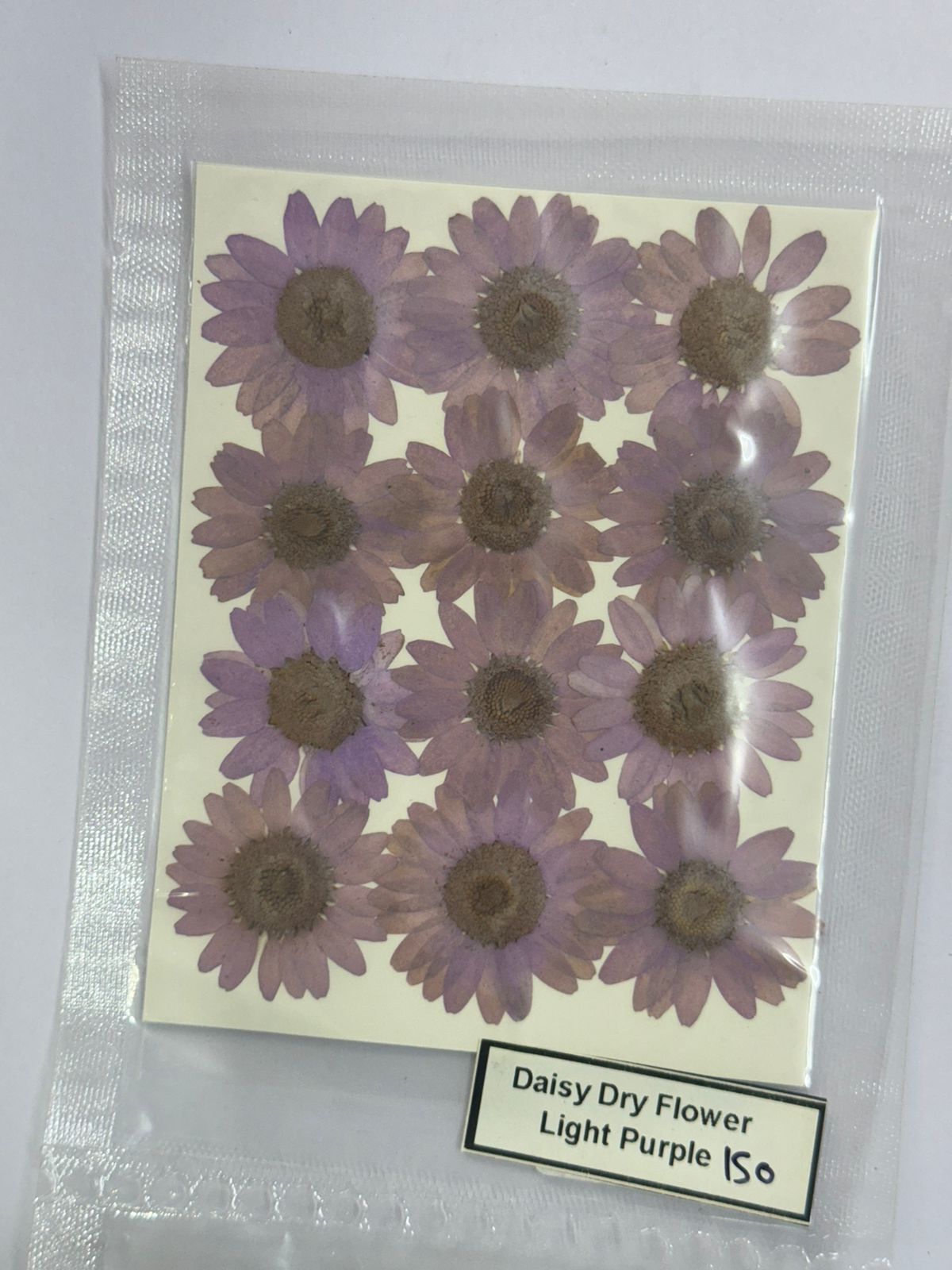 Pressed Daisy Dry Flowers- 1 pack – Light Purple design- 150