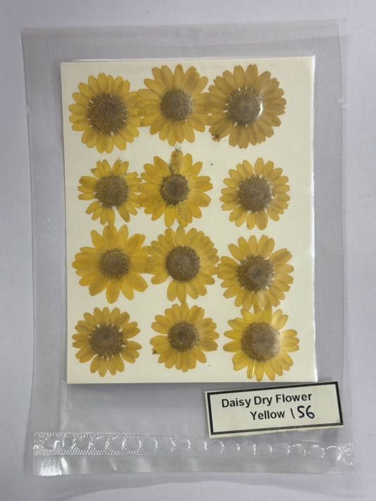 Pressed Daisy Dry Flowers- 1 pack – Yellow design – 156