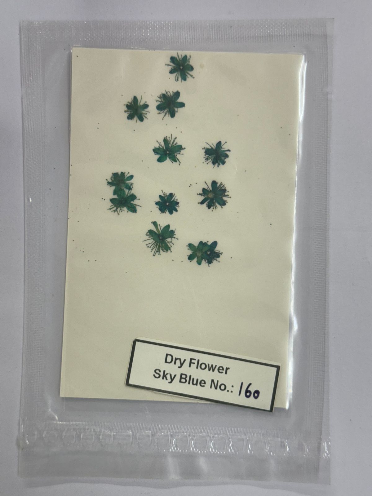 Pressed Dry Flowers- 1 pack – design – 160