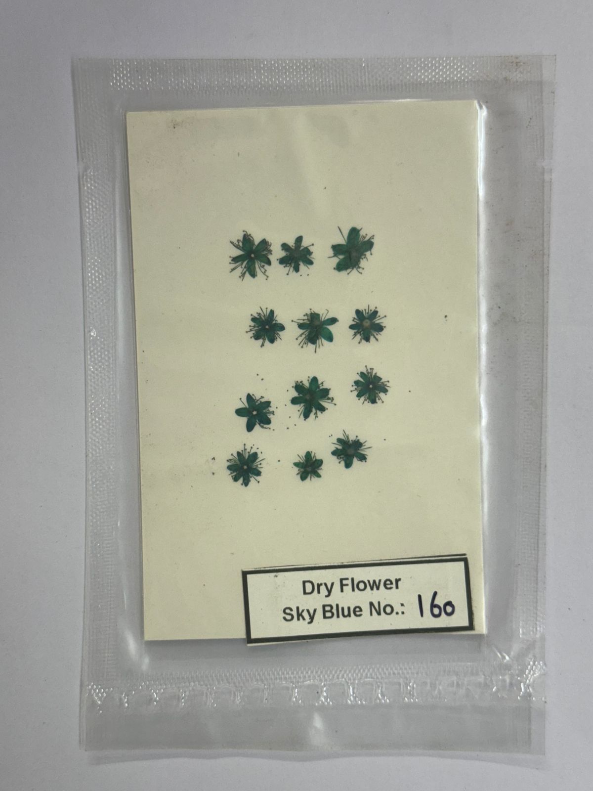 Pressed Dry Flowers- 1 pack – design – 160