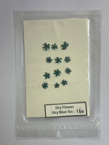 Pressed Dry Flowers- 1 pack – design – 160