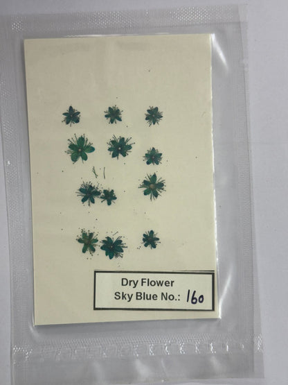 Pressed Dry Flowers- 1 pack – design – 160