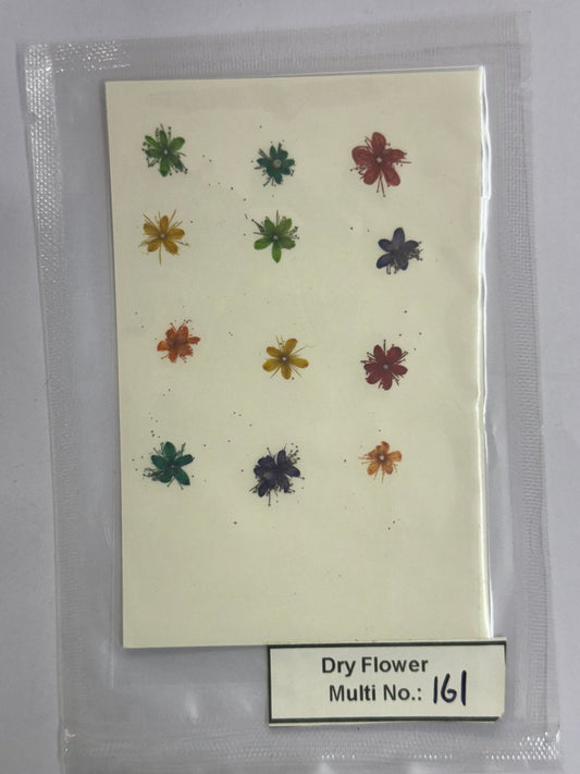 Pressed Dry Flowers- 1 pack – design – 161