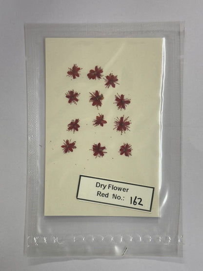 Pressed Dry Flowers- 1 pack – design – 162