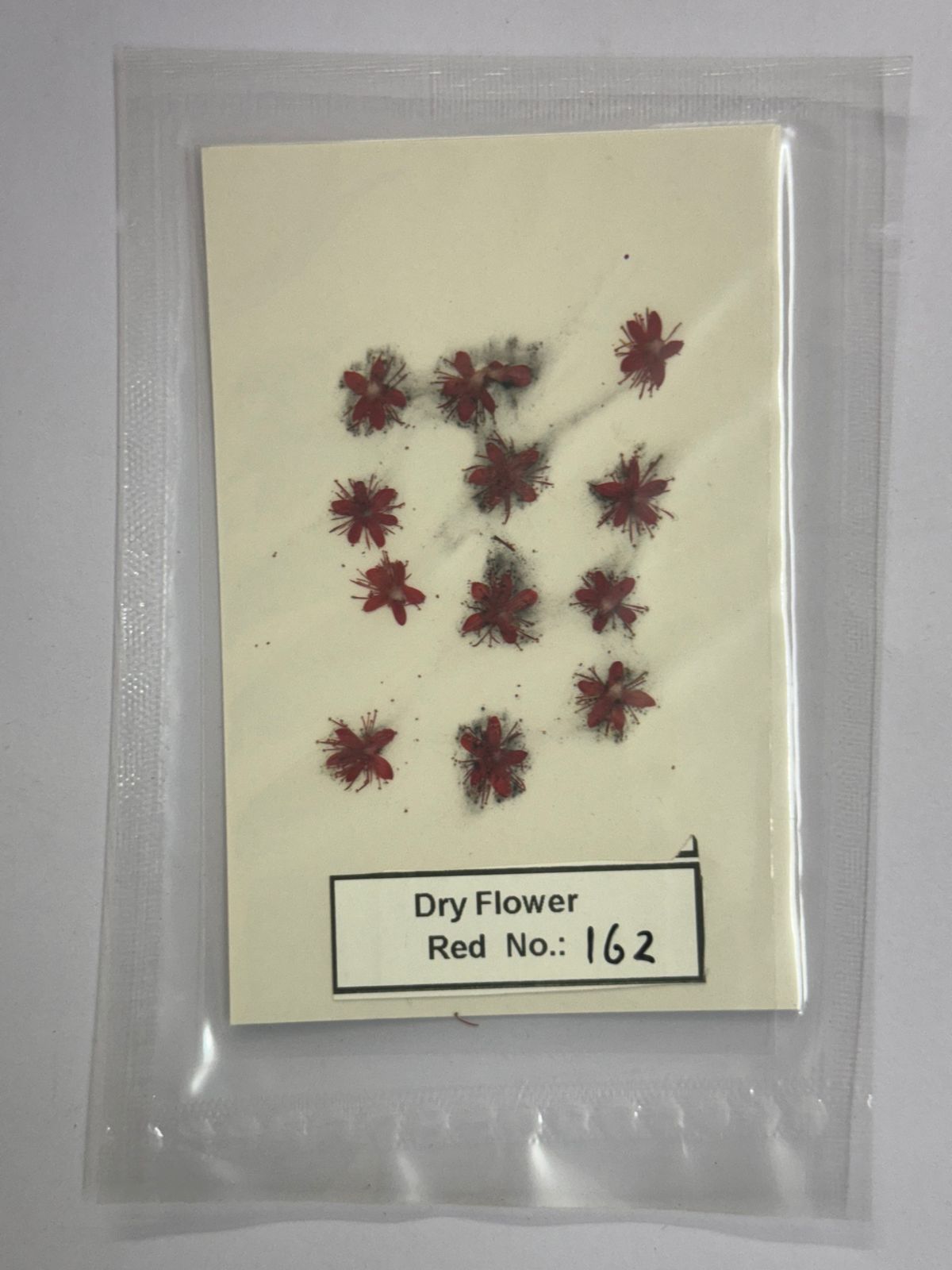 Pressed Dry Flowers- 1 pack – design – 162