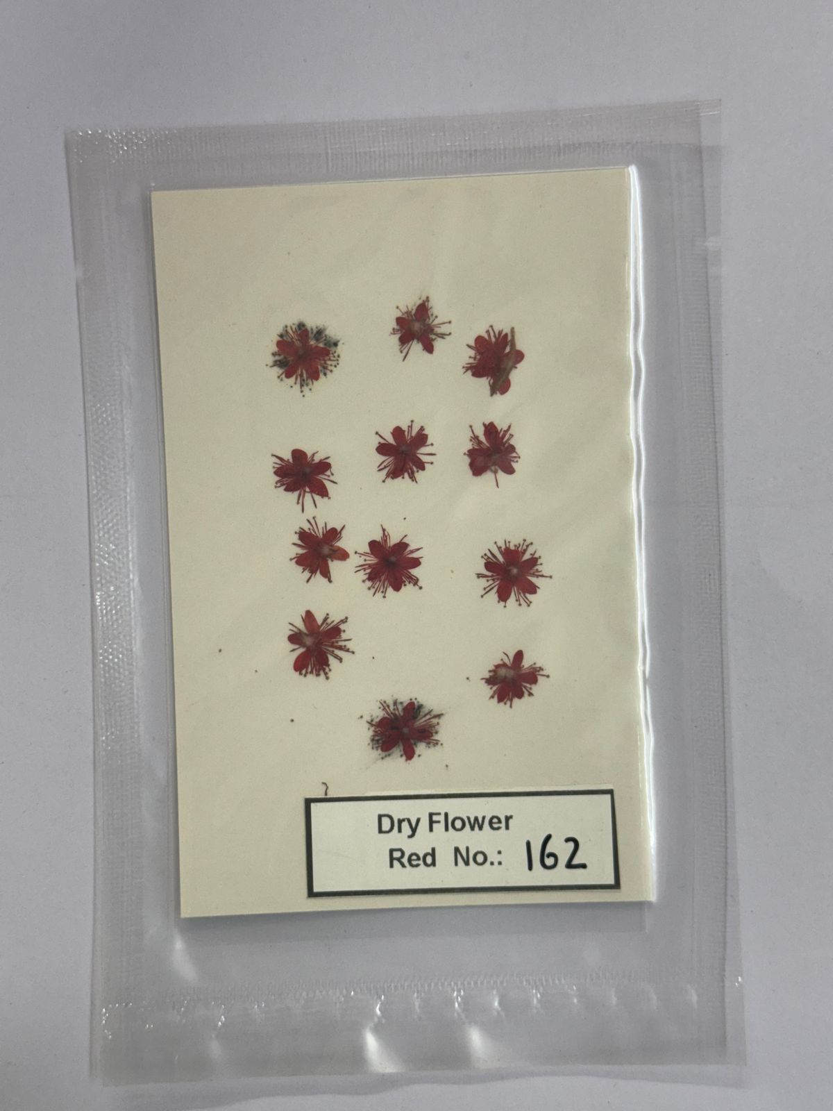 Pressed Dry Flowers- 1 pack – design – 162