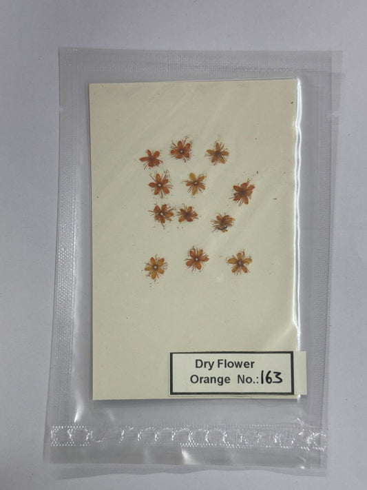 Pressed Dry Flowers- 1 pack – design – 163