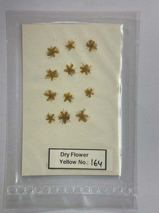 Pressed Dry Flowers- 1 pack – design – 164