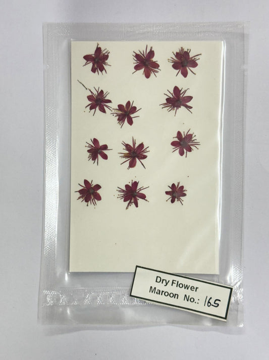 Pressed Dry Flowers- 1 pack – design – 165