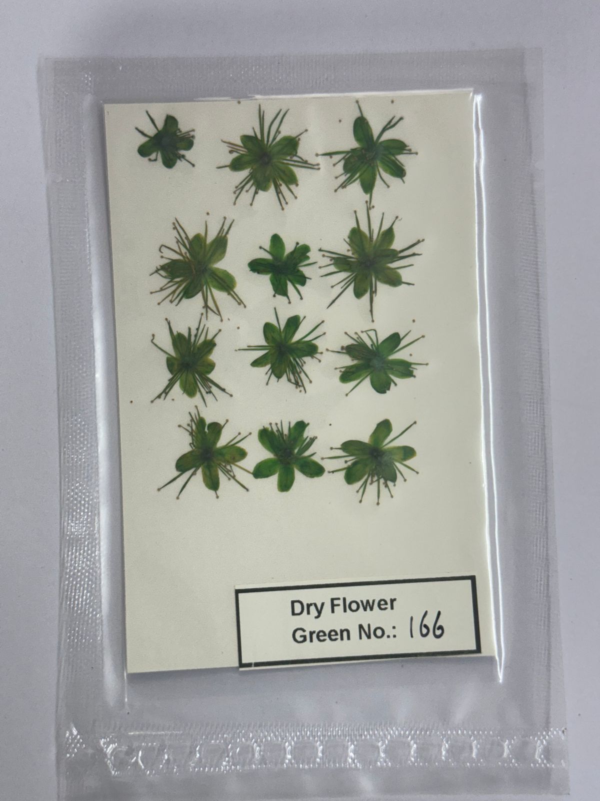 Pressed Dry Flowers- 1 pack – design – 166