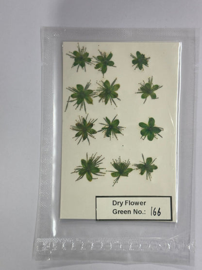 Pressed Dry Flowers- 1 pack – design – 166