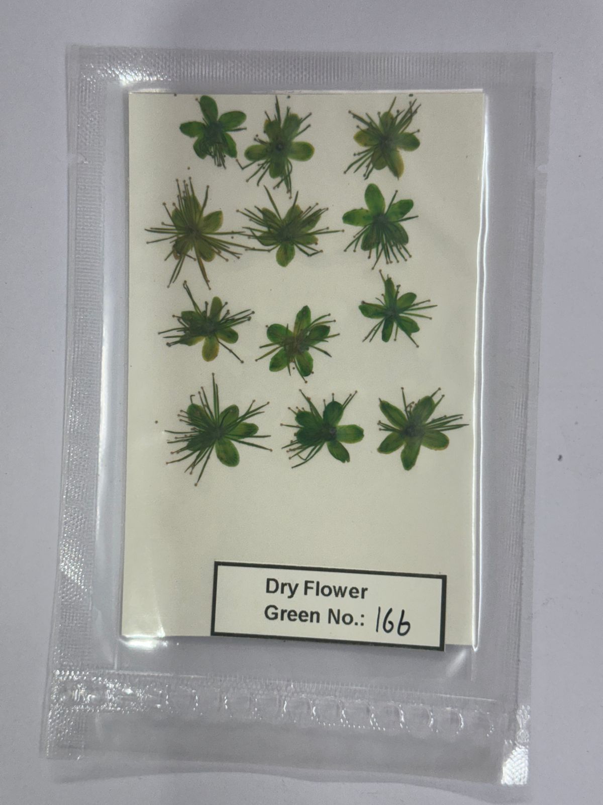 Pressed Dry Flowers- 1 pack – design – 166