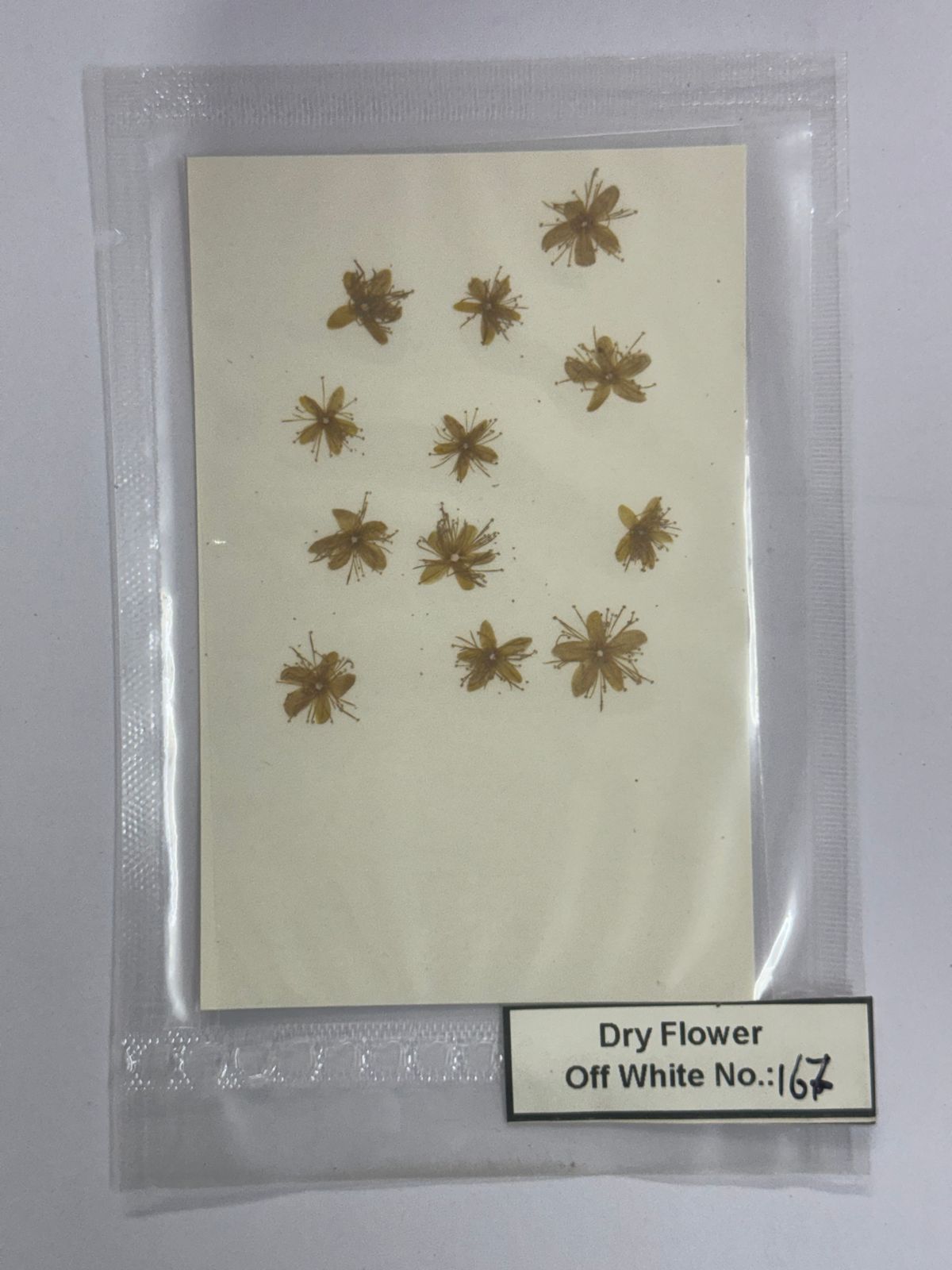 Pressed Dry Flowers- 1 pack – design – 167