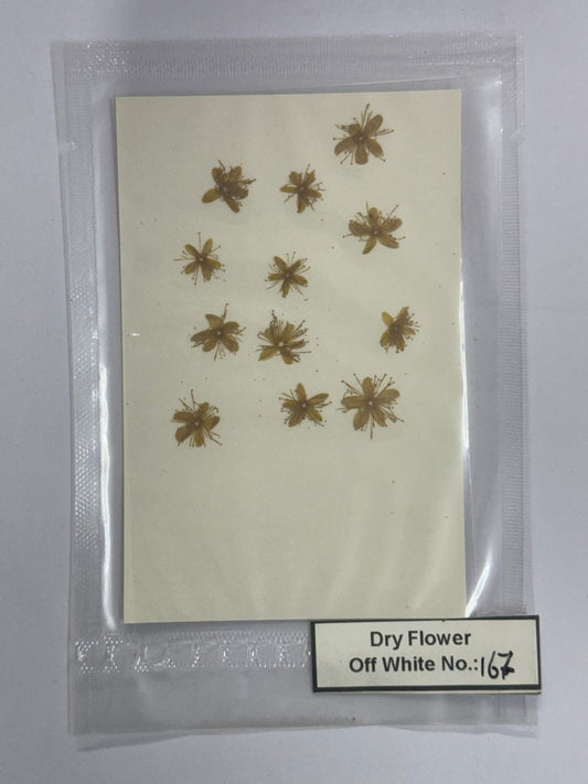 Pressed Dry Flowers- 1 pack – design – 167