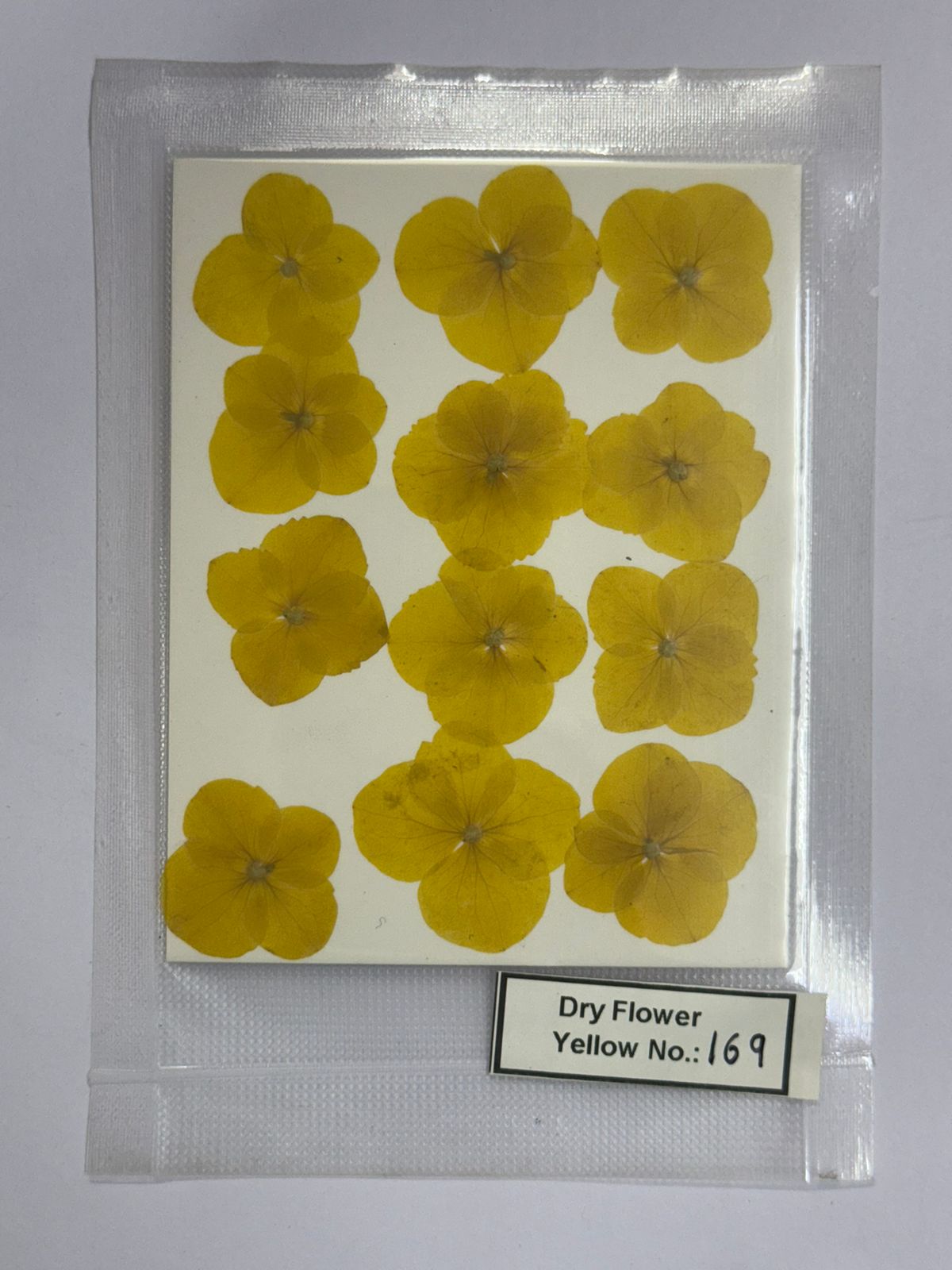 Pressed Dry Flowers- 1 pack – design – 169