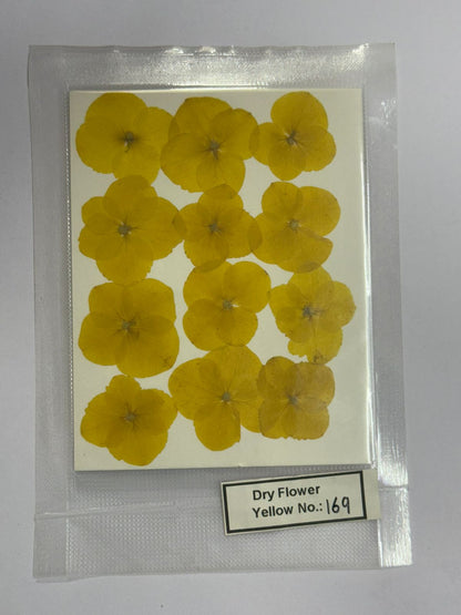 Pressed Dry Flowers- 1 pack – design – 169