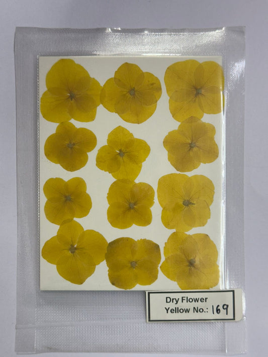 Pressed Dry Flowers- 1 pack – design – 169