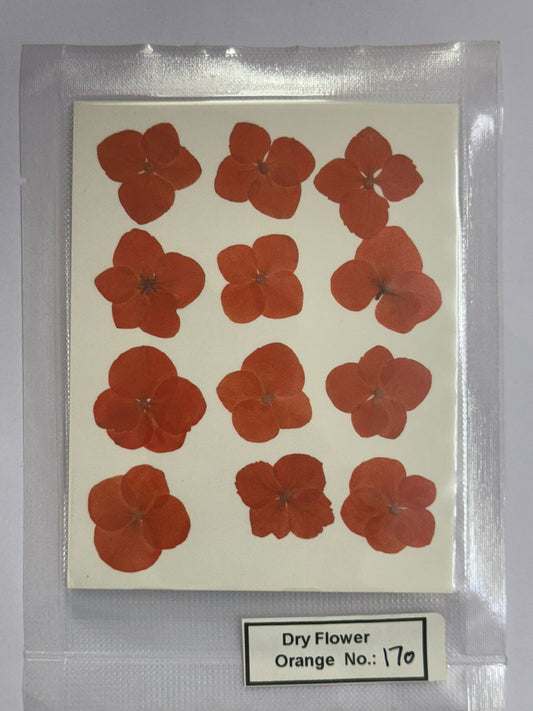 Pressed Dry Flowers- 1 pack – design – 170