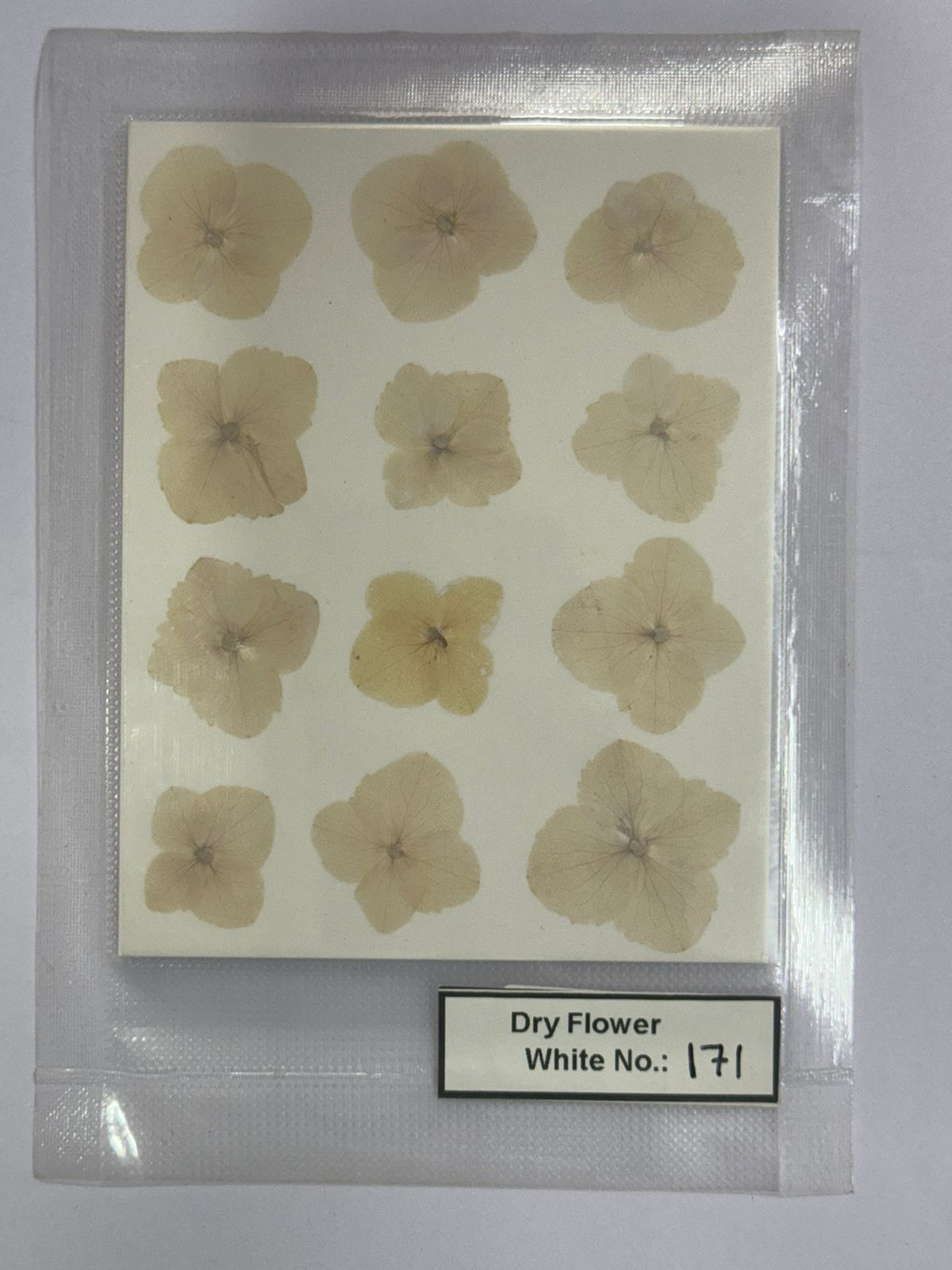 Pressed Dry Flowers- 1 pack – design – 171