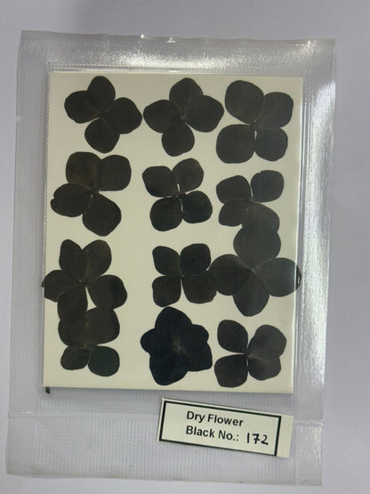 Pressed Dry Flowers- 1 pack – design – 172