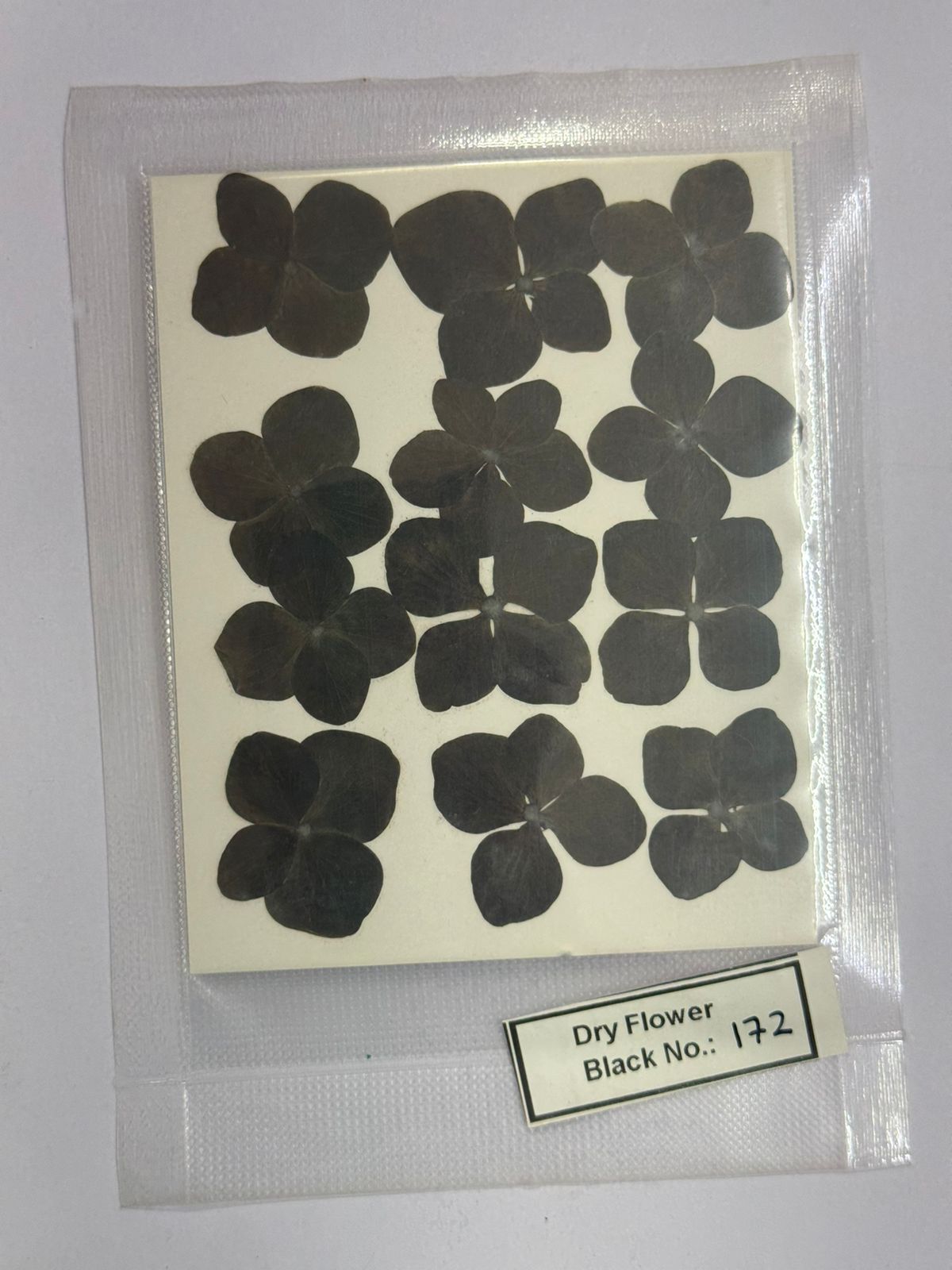 Pressed Dry Flowers- 1 pack – design – 172