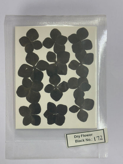 Pressed Dry Flowers- 1 pack – design – 172