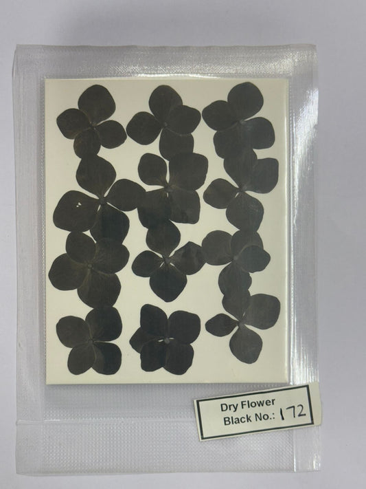 Pressed Dry Flowers- 1 pack – design – 172