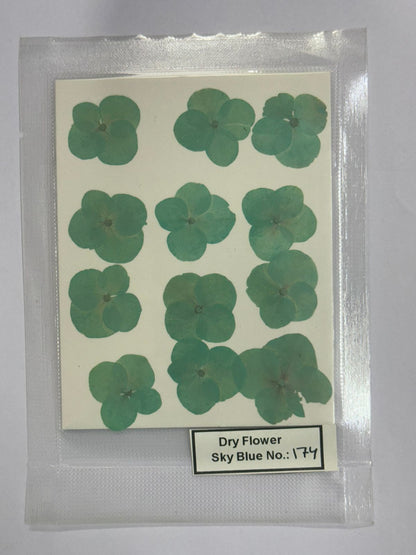 Pressed Dry Flowers- 1 pack – design – 174