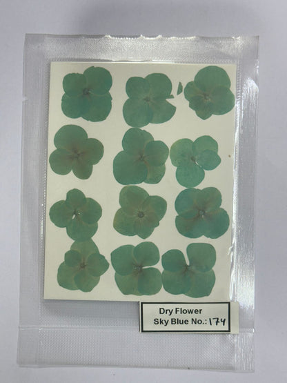 Pressed Dry Flowers- 1 pack – design – 174