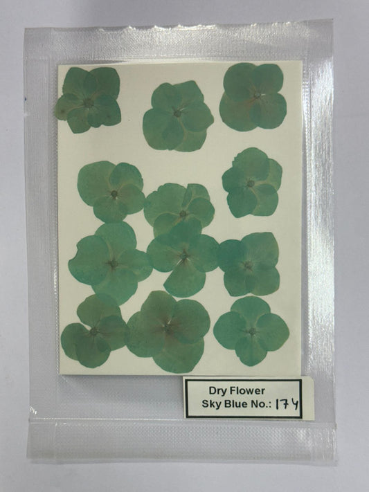 Pressed Dry Flowers- 1 pack – design – 174