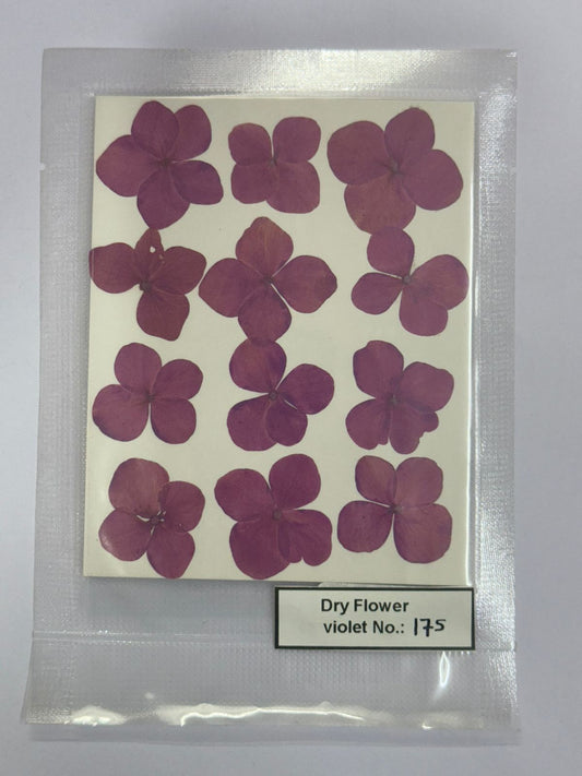 Pressed Dry Flowers- 1 pack – design – 175