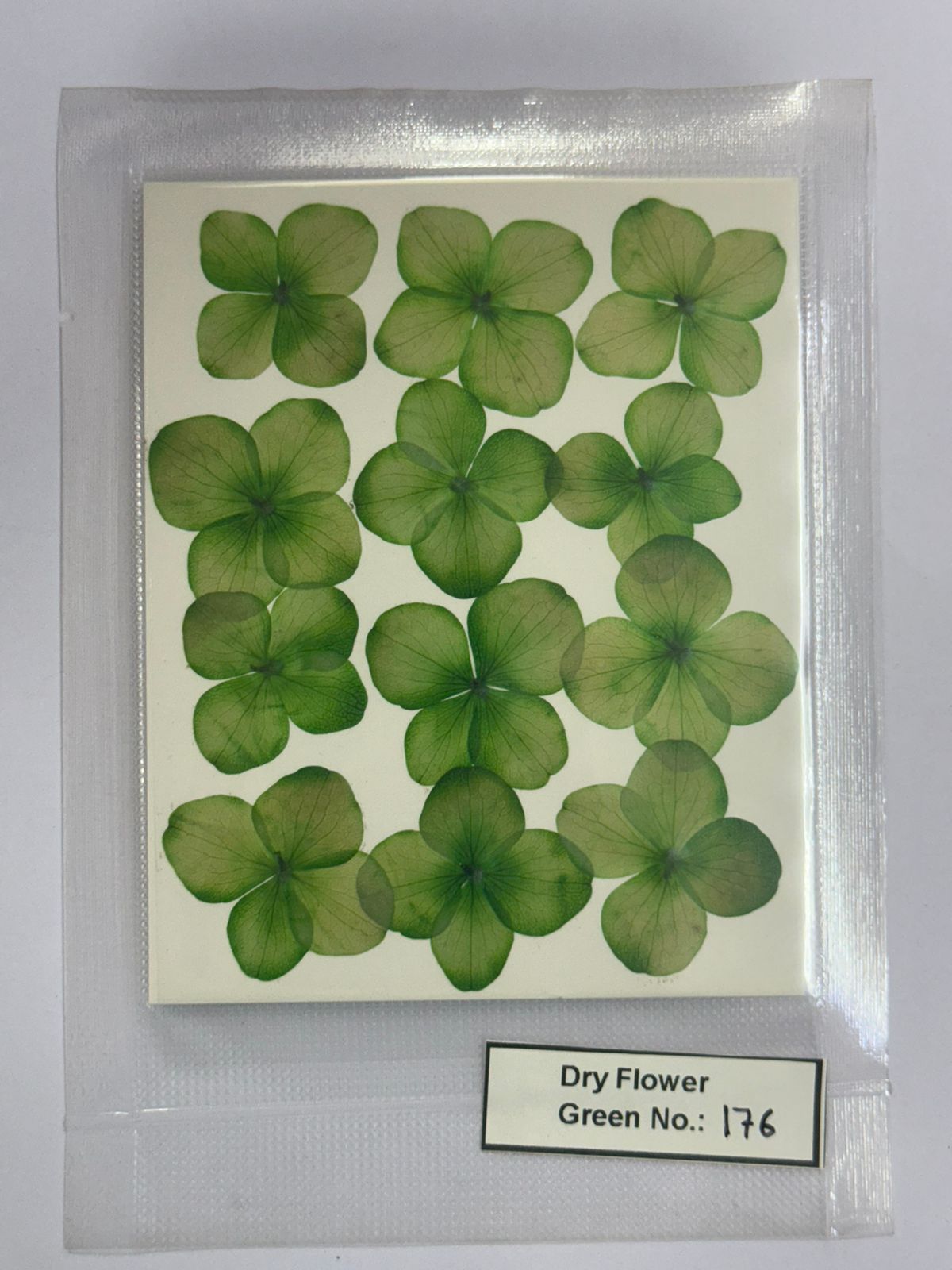 Pressed Dry Flowers- 1 pack – design – 176