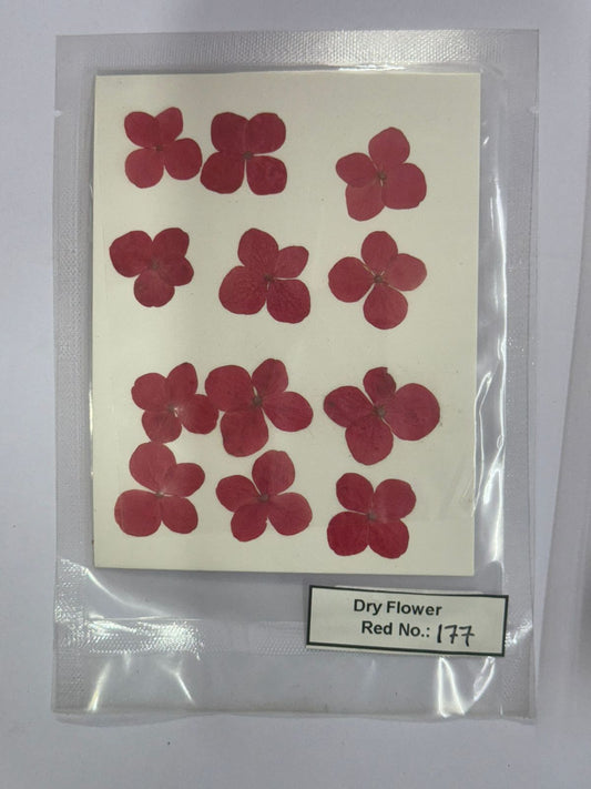 Pressed Dry Flowers- 1 pack – design – 177