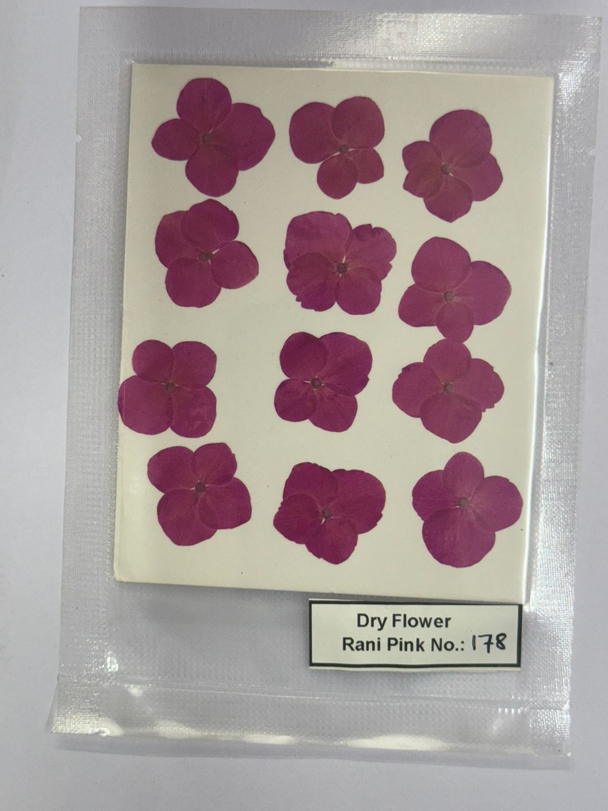 Pressed Dry Flowers- 1 pack – design – 178