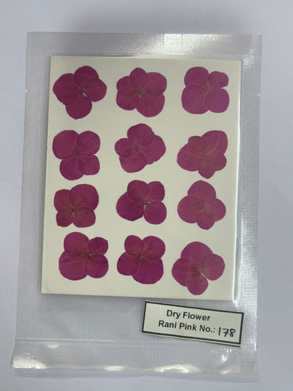 Pressed Dry Flowers- 1 pack – design – 178