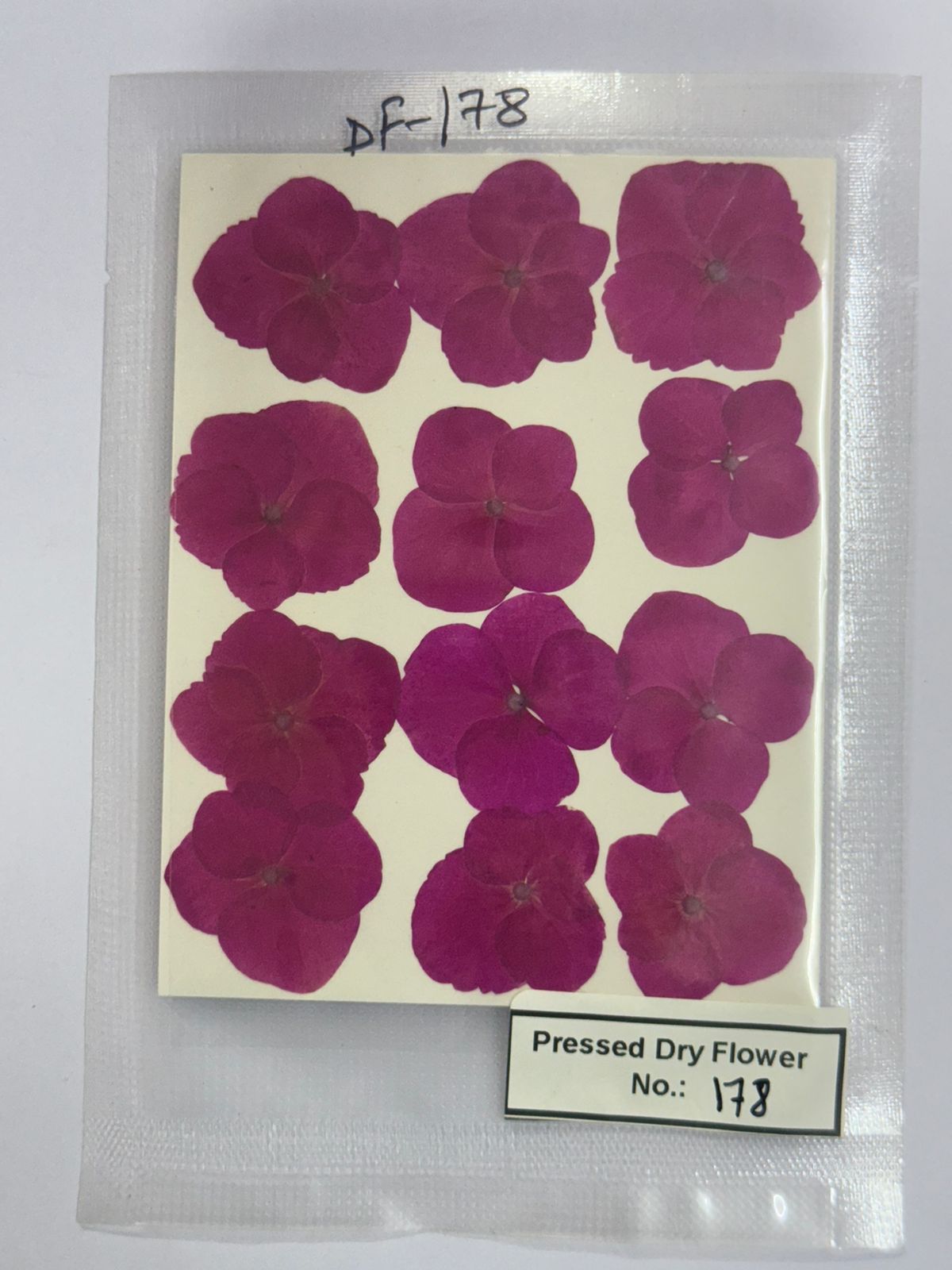 Pressed Dry Flowers- 1 pack – design – 178