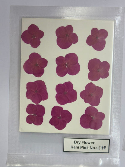 Pressed Dry Flowers- 1 pack – design – 178